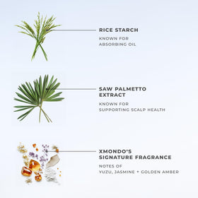 XMONDO Hair BOOST X Dry Shampoo spray action without powdery crust