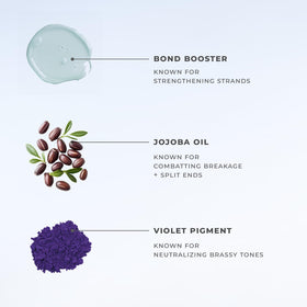 Pairing XMONDO conditioner with shampoo supports a color-safe routine.