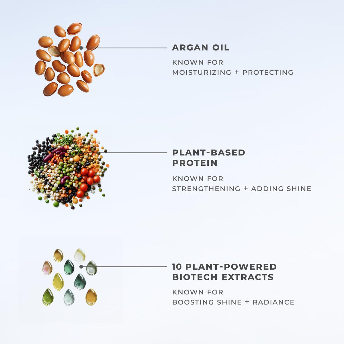 XMONDO Hydrify plant-based extracts boost shine and manageability