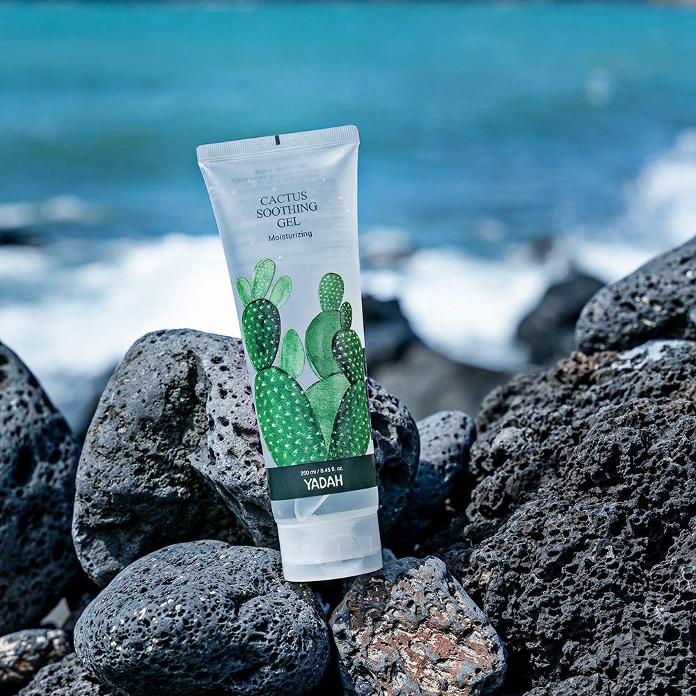 Jeju cactus and green tea in YADAH Cactus Soothing Gel