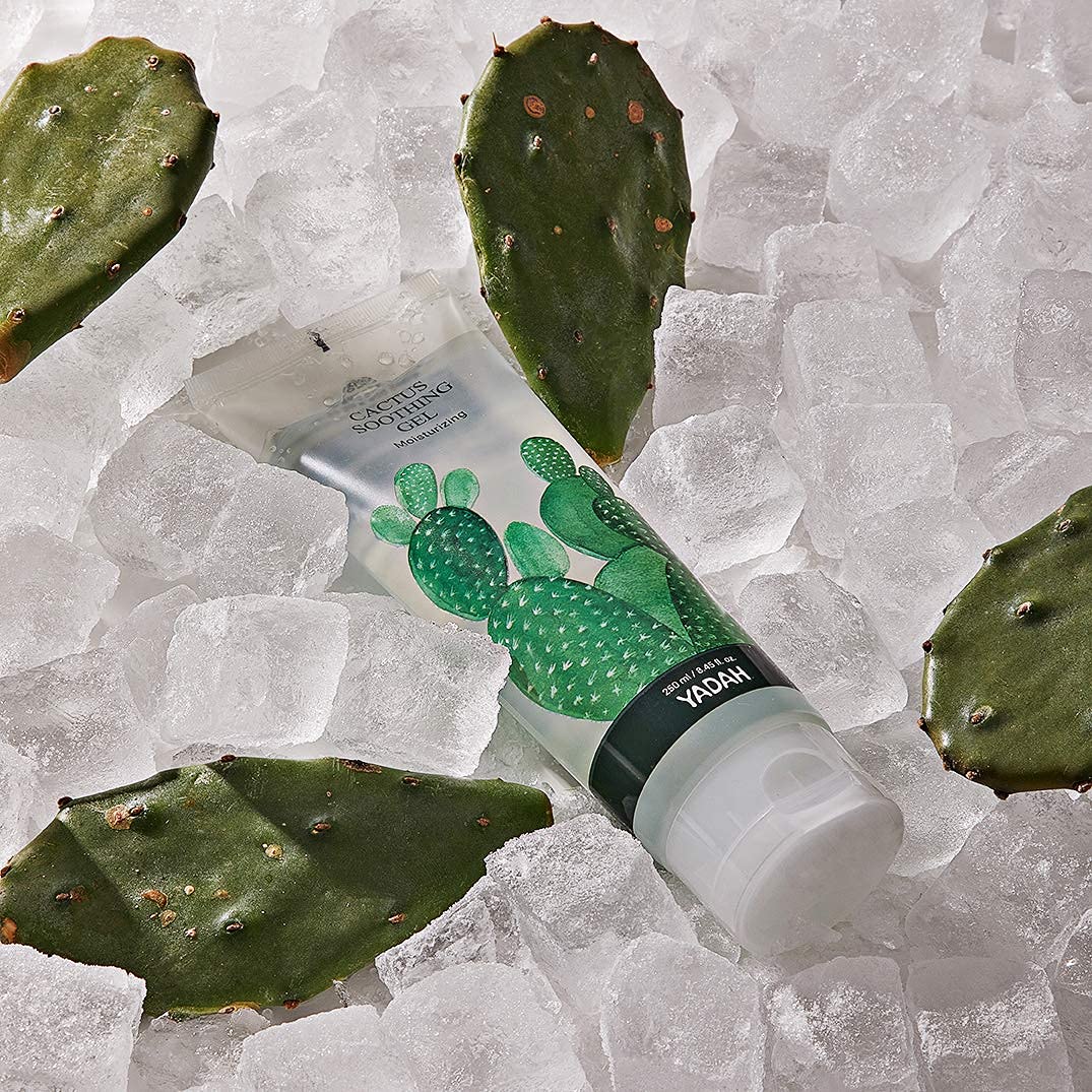 Vegan green-grade ingredients in YADAH Cactus Soothing Gel