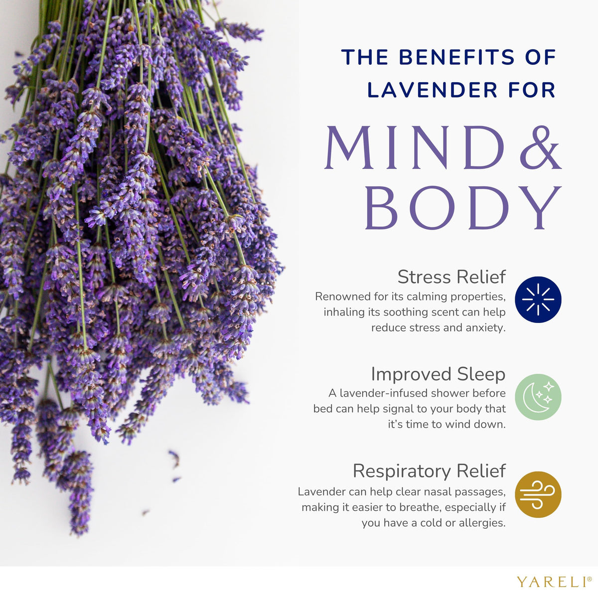 Yareli lavender steamers close-up showing pressed tablets for spa-like relaxation