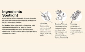 Yarok Feed Your Ends organic oil blend highlights six plant oils for nourished strands.