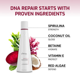 Professional packaging of Ybera Genoma Pro-Geno Shampoo signaling salon-grade results