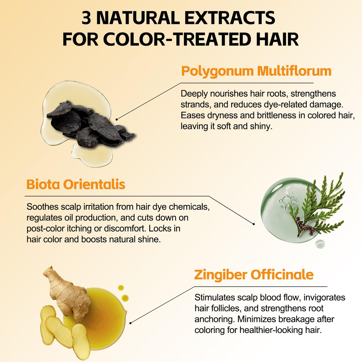Yocisku Chestnut Brown Hair Dye Shampoo color ideas for rich shade options