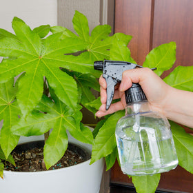 Youngever multi-use bottle ideal for cleaners, hair products, garden care, and more.