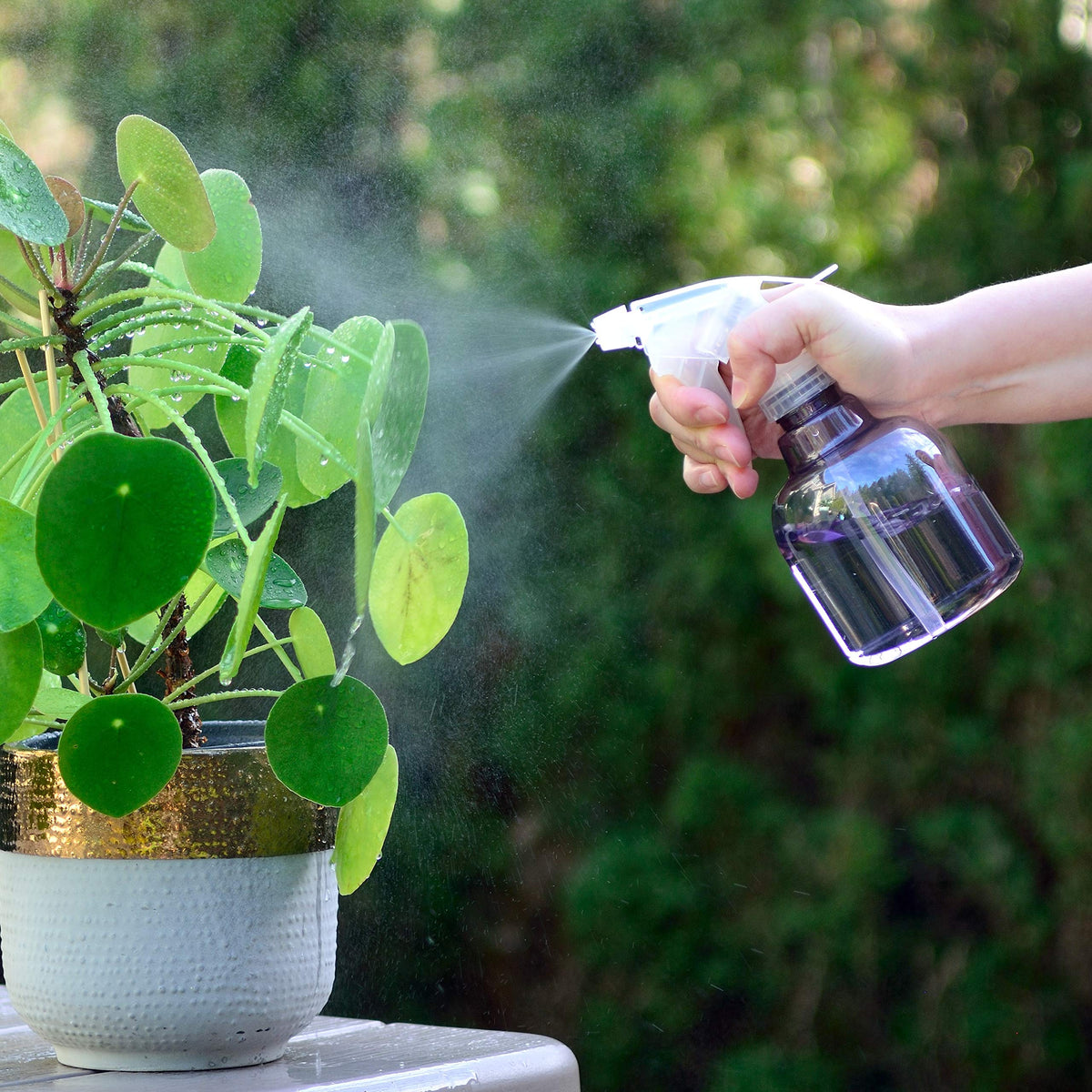 Youngever three-mode nozzle offers off, stream, and mist for versatile spraying.