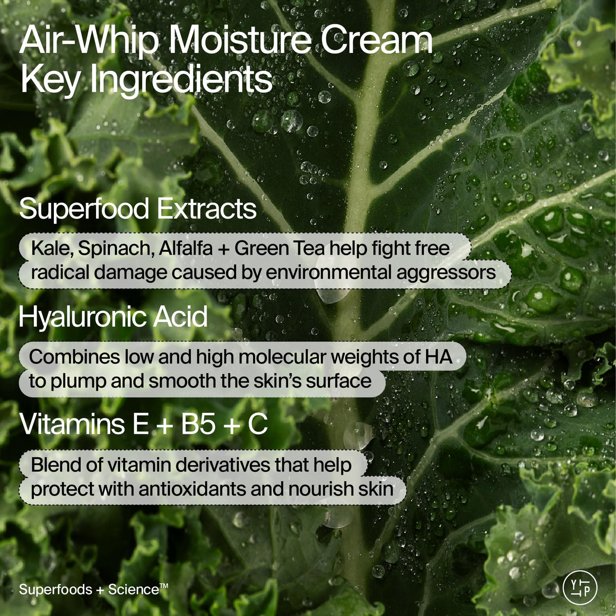 Youth To The People Air Whip Moisture Cream jar demonstrates fast absorbing hydration
