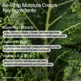 Youth To The People Air Whip Moisture Cream jar demonstrates fast absorbing hydration