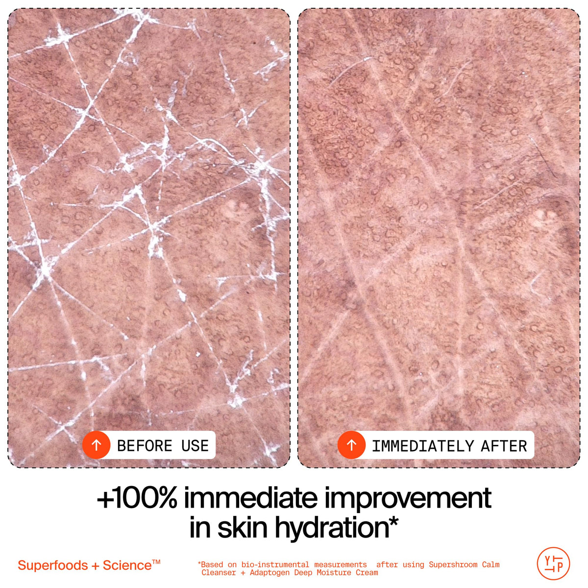 Youth To The People Supershroom cleanser ingredients highlight antioxidants and hydrators for balanced skin.