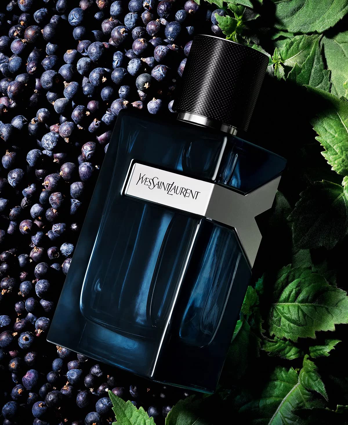 YSL Y Intense for Men lavender middle note for a refined, contemporary aura.