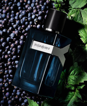 YSL Y Intense for Men lavender middle note for a refined, contemporary aura.