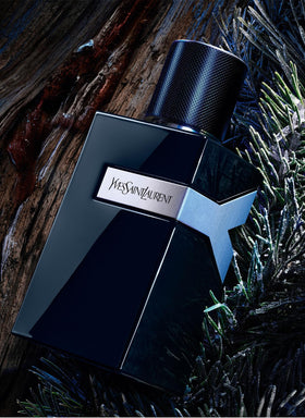 Illustration of top notes ginger and bergamot suggesting bright opening