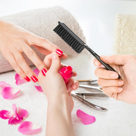 ZEAYEA compact portable brush fits in a bag