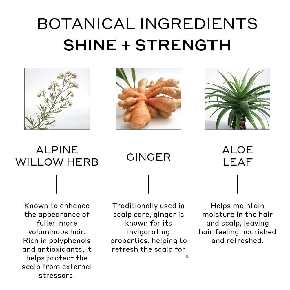 Zenagen Evolve Repair hair shine visibly smoother, more reflective strands