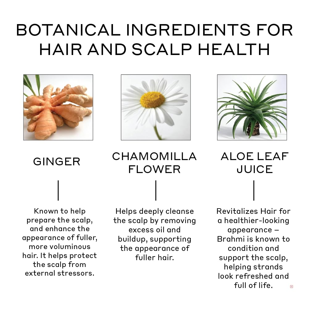 Zenagen Revolve conditioner with cream-texture provides smooth hydration for thinning hair