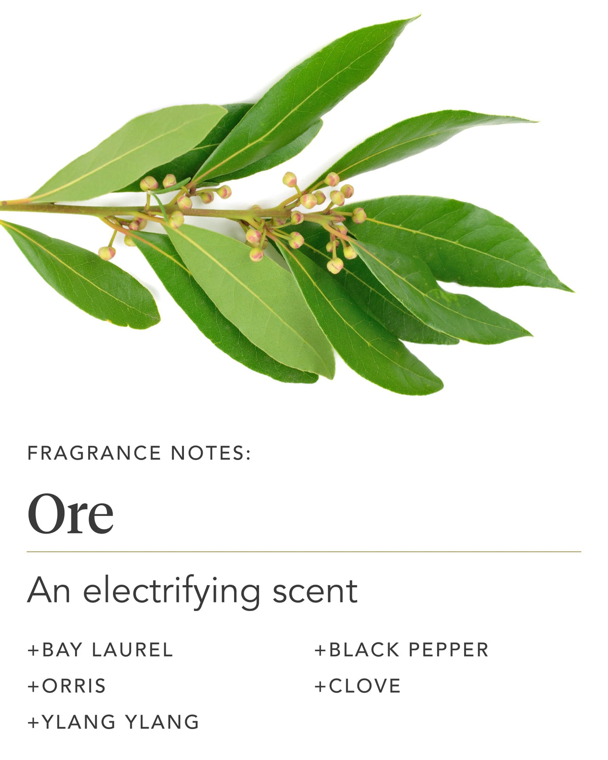 Zents Ore bottle on sink conveying convenient daily moisturizing routine.