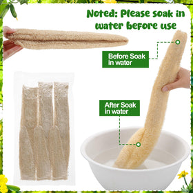 Compostable packaging and plastic-free design of ZhouBoat loofah.