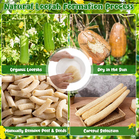 Large size ZhouBoat loofah sponge proves versatile for body and kitchen tasks.