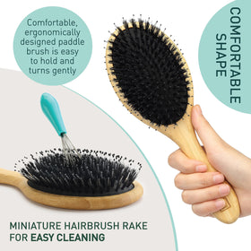 Zollo moisture-balancing brush helps maintain natural shine and softness.